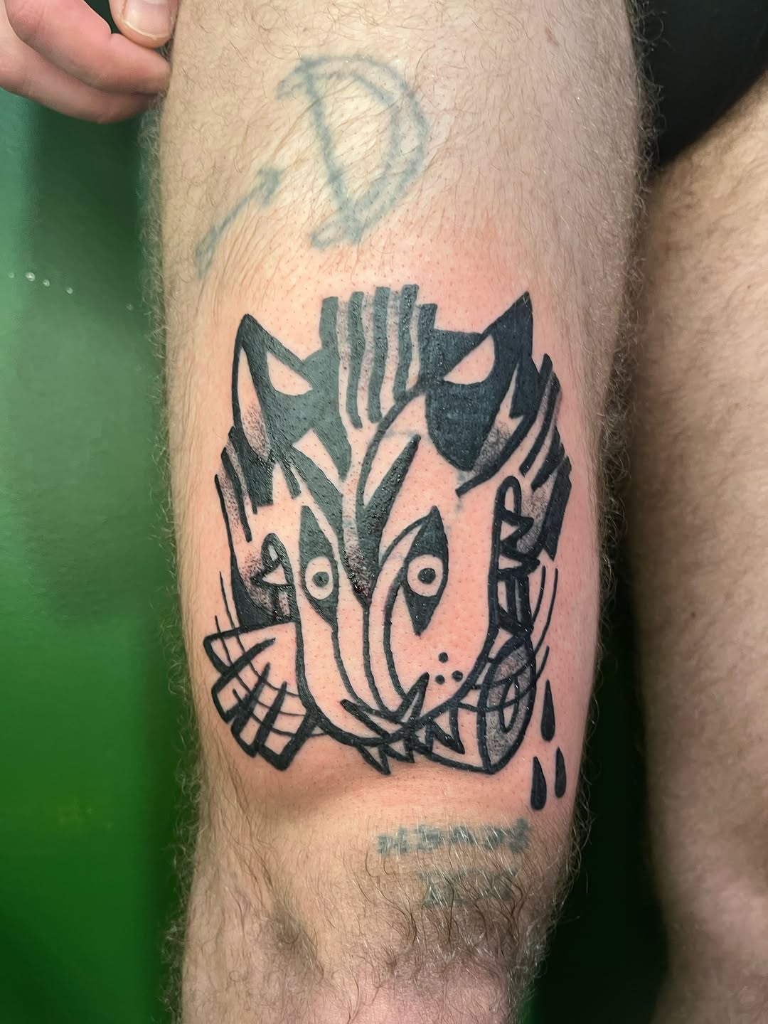 Tattoo by @birdfingers — ignorant, sketch