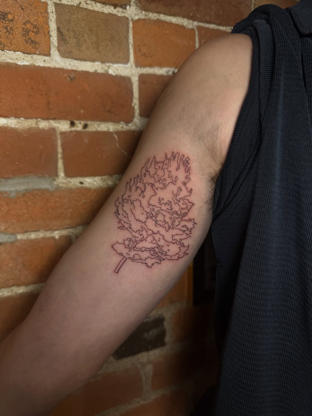 Tattoo by @tattedbytam β fine_line