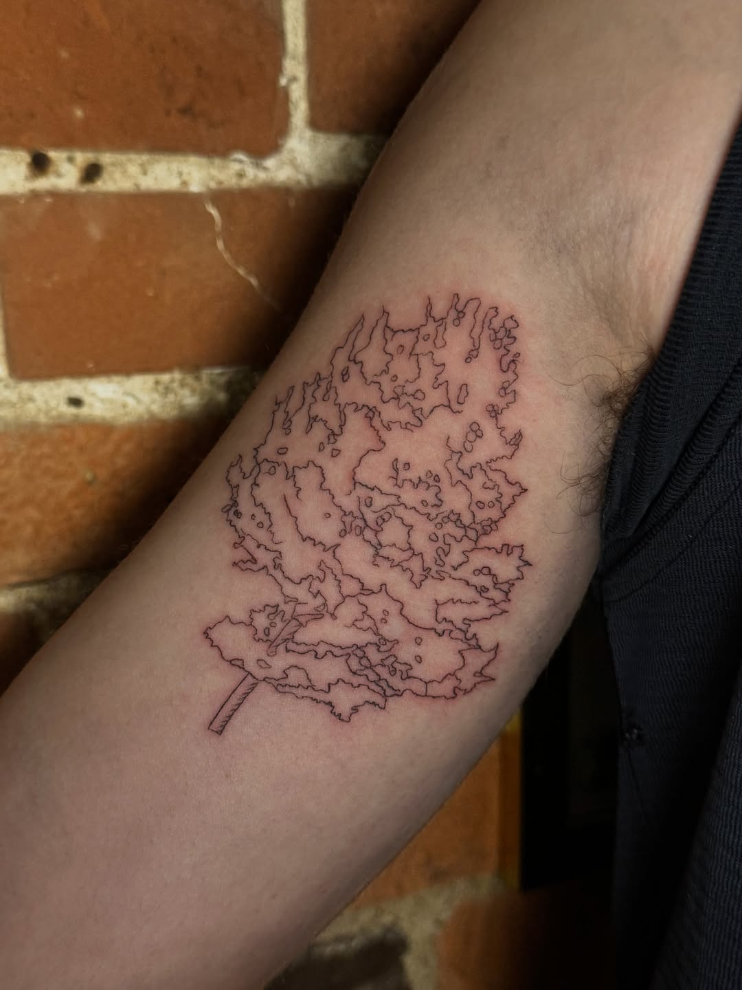 Tattoo by @tattedbytam β fine_line