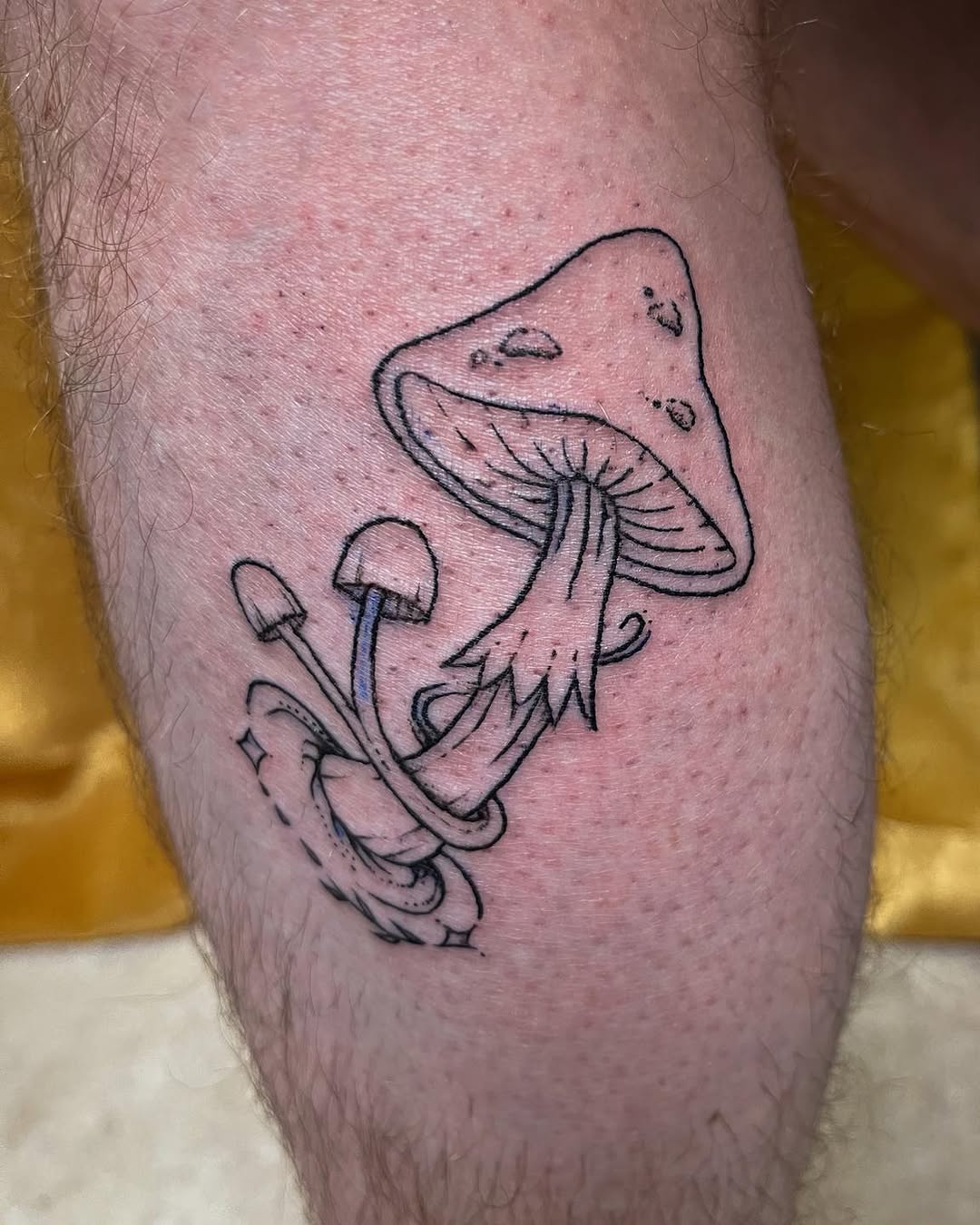 Tattoo by @darish.tattoo — illustrative, black_and_grey