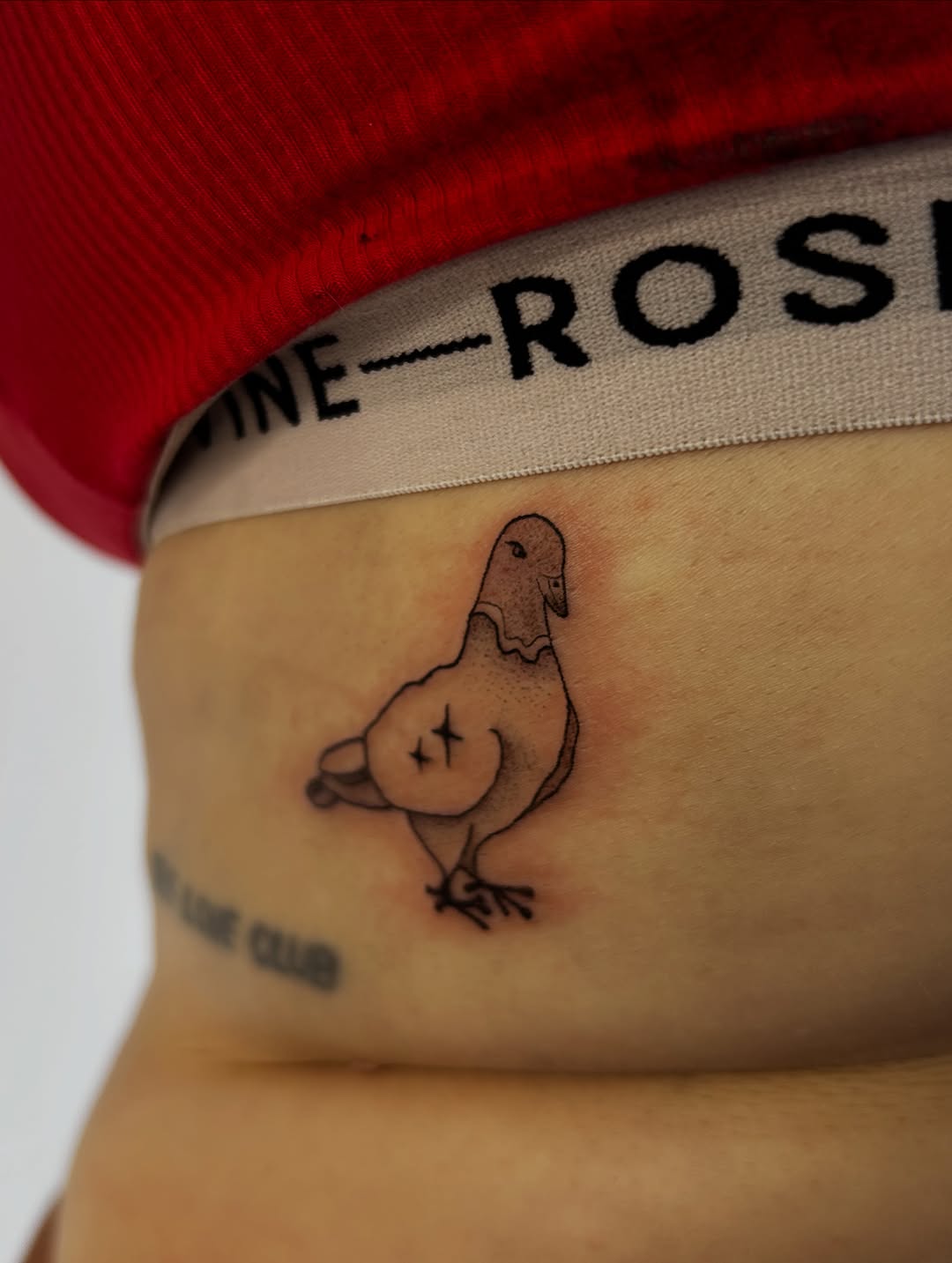 Tattoo by @bria.tattoos — ignorant, sketch