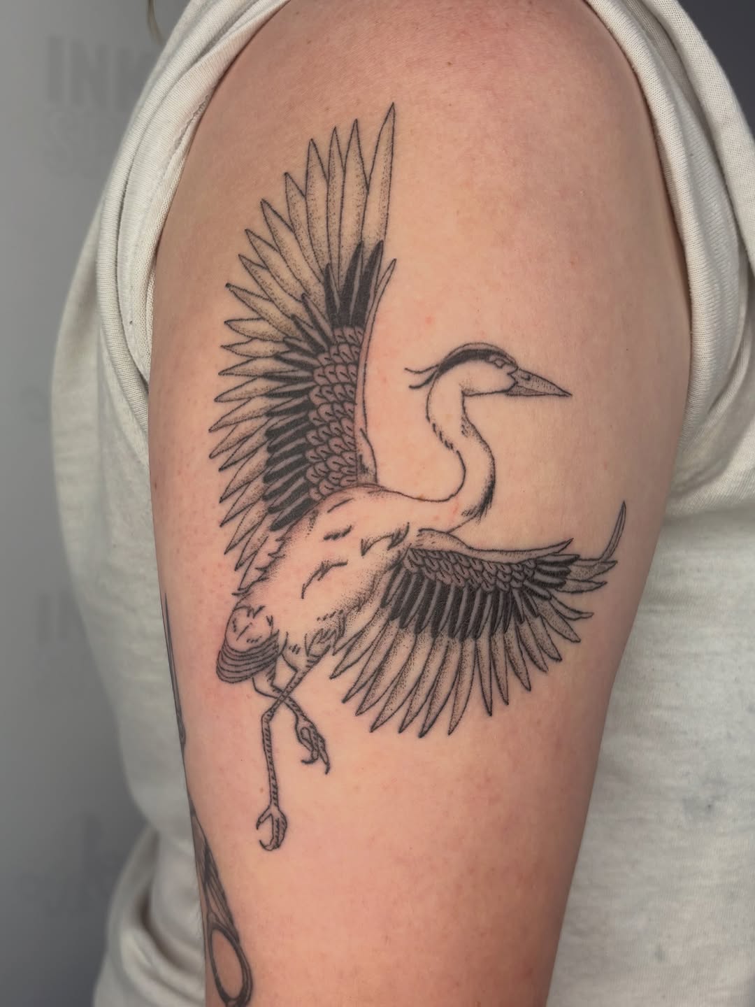 Tattoo by @kiley.inks โ dotwork, black_and_grey
