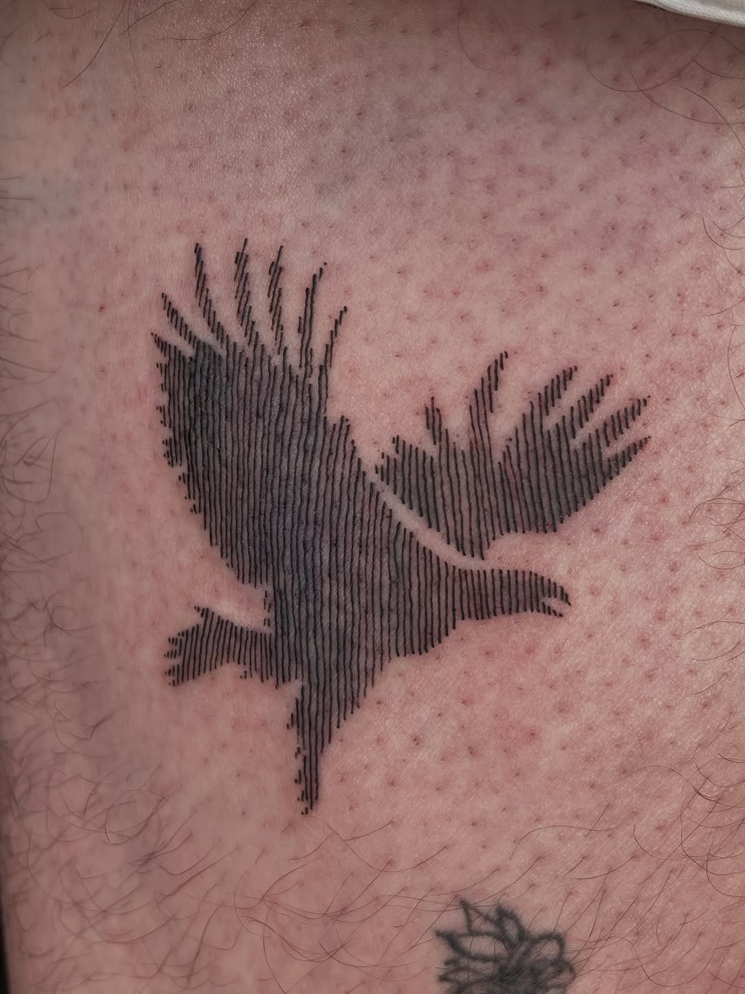 Tattoo by @gap_head — blackwork