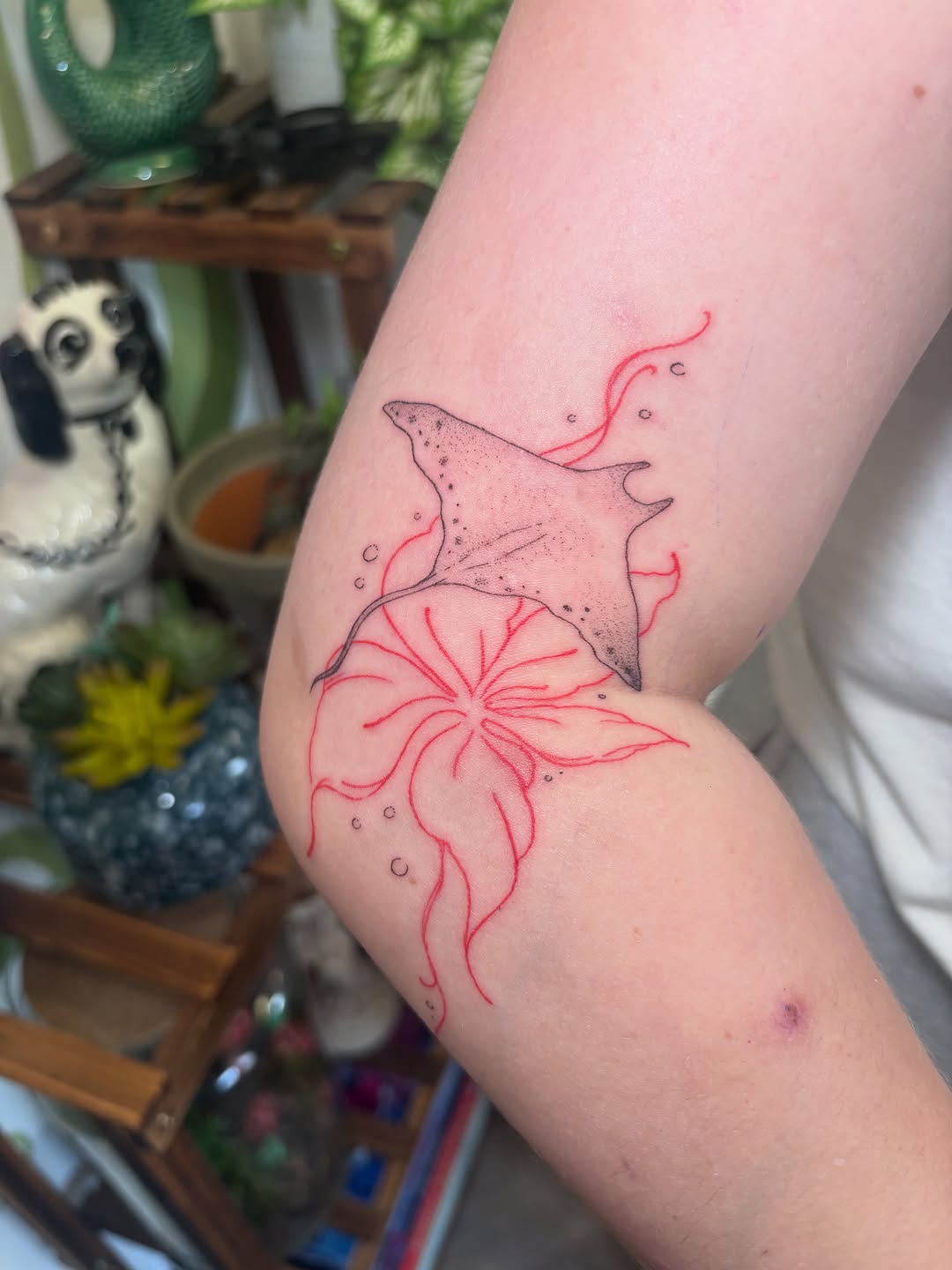 Tattoo by @amberloutattoo โ fine_line, black_and_grey
