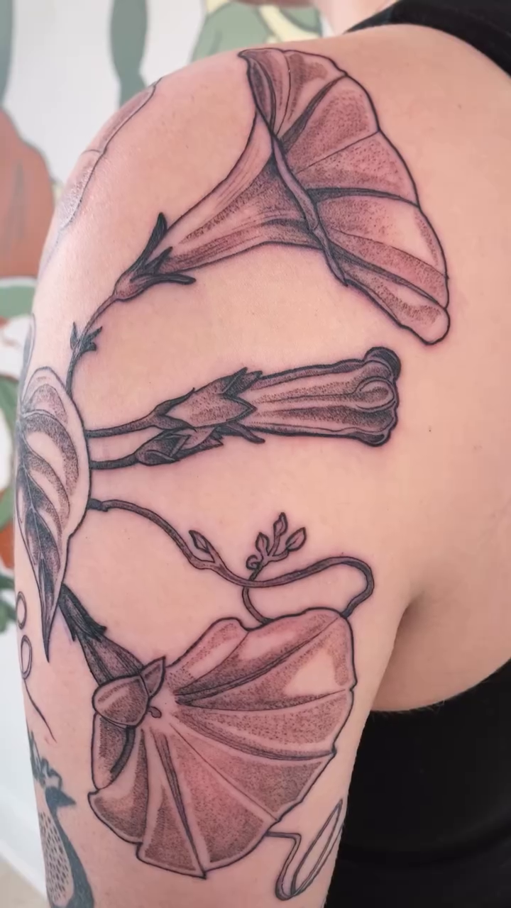 Tattoo by @peripeteiah โ black_and_grey, fine_line
