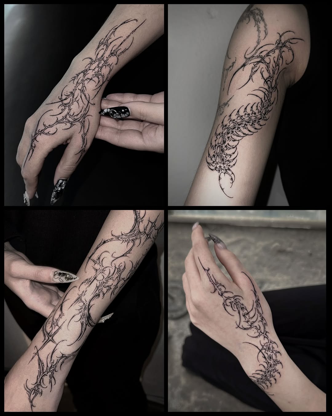 Tattoo by @kamio.ttt — blackwork, ornamental