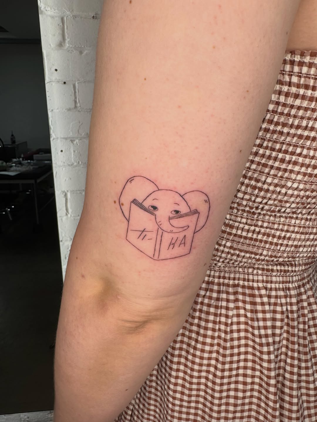 Tattoo by @studioalisi — fine_line, illustrative