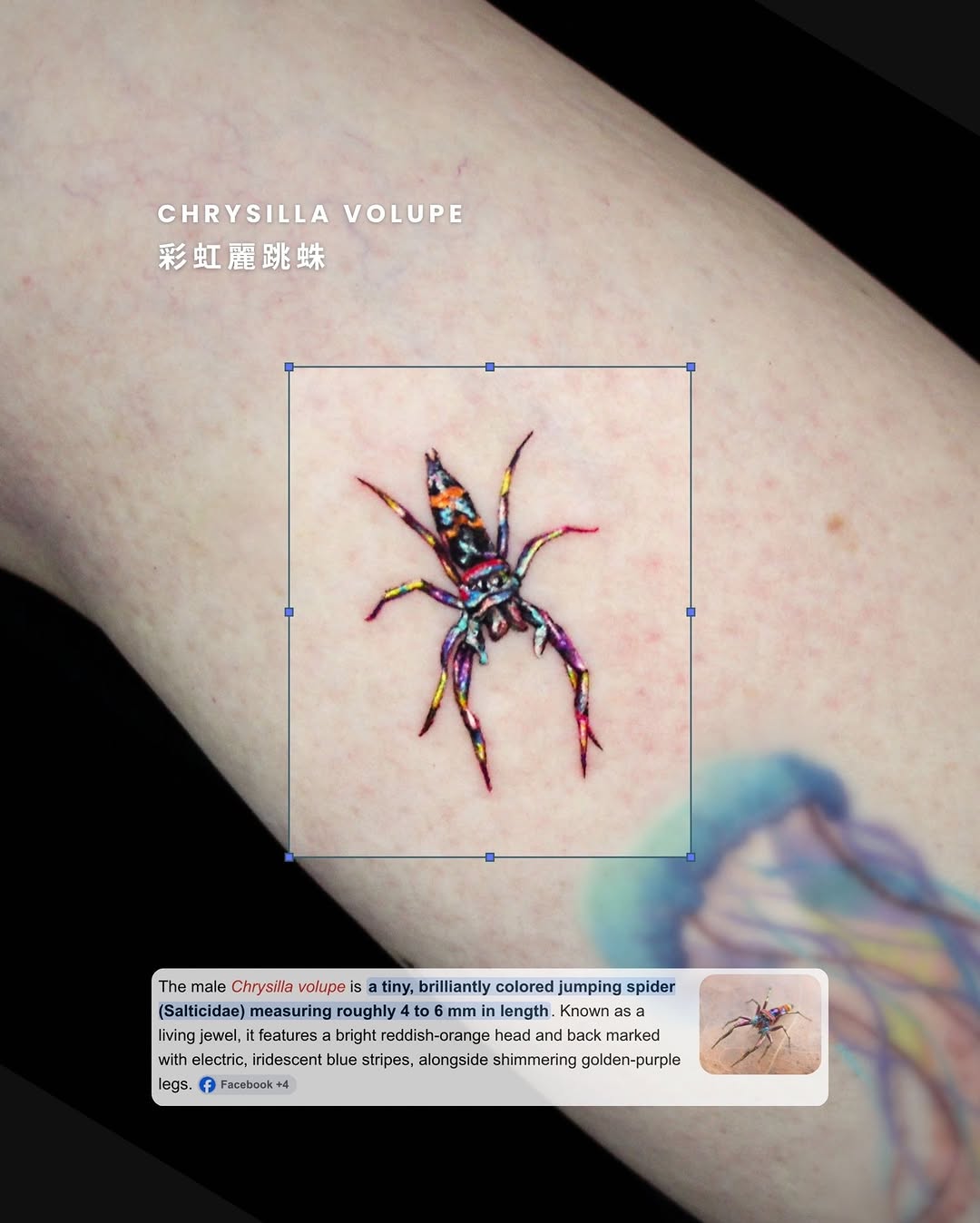 Tattoo by @gumu.ink โ realism, fine_line