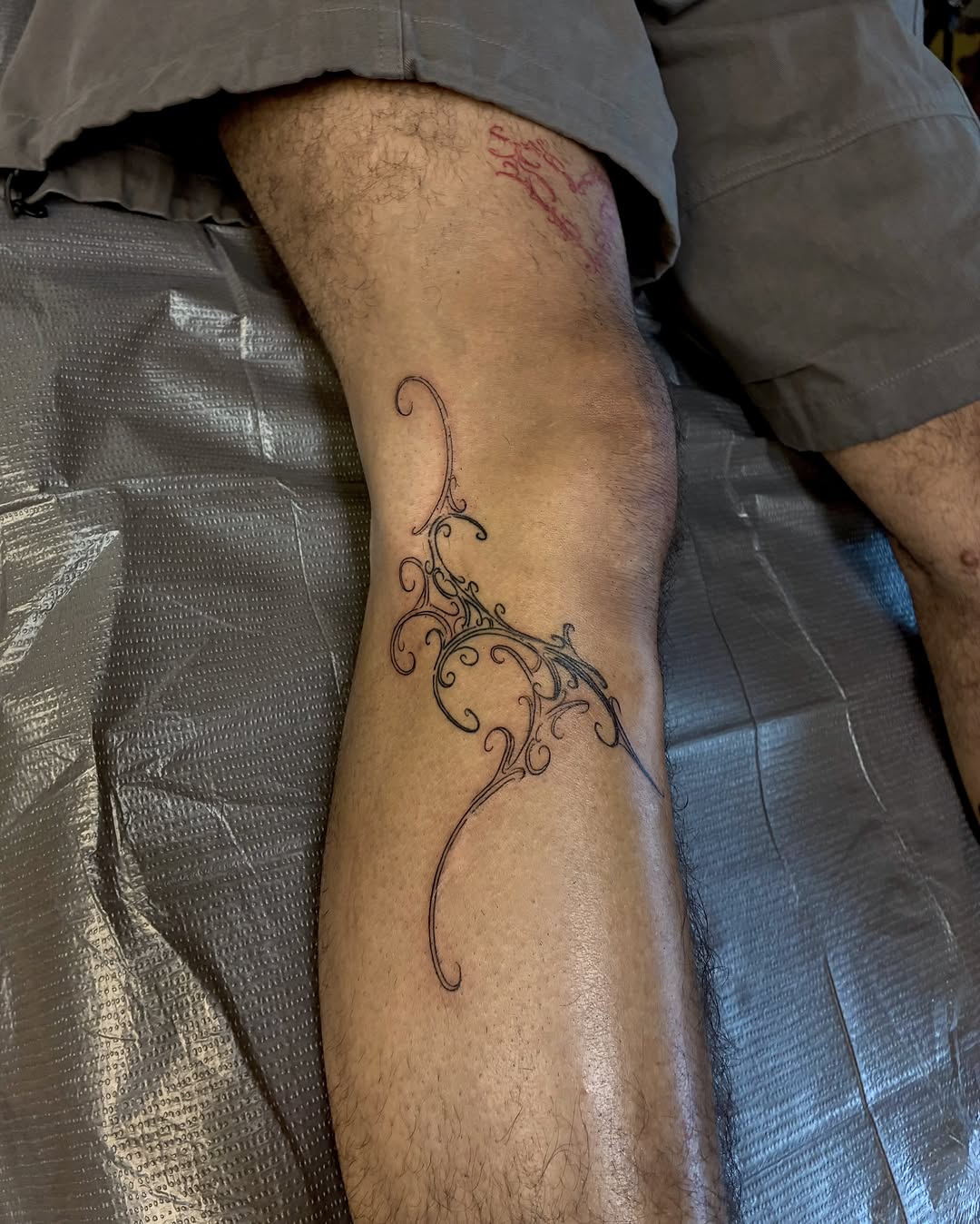 Tattoo by @smashyourboyy — ornamental, fine_line