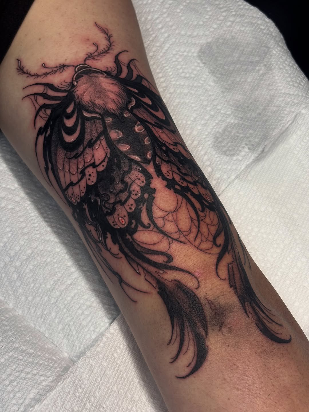 Tattoo by @inkkate_ — blackwork, illustrative