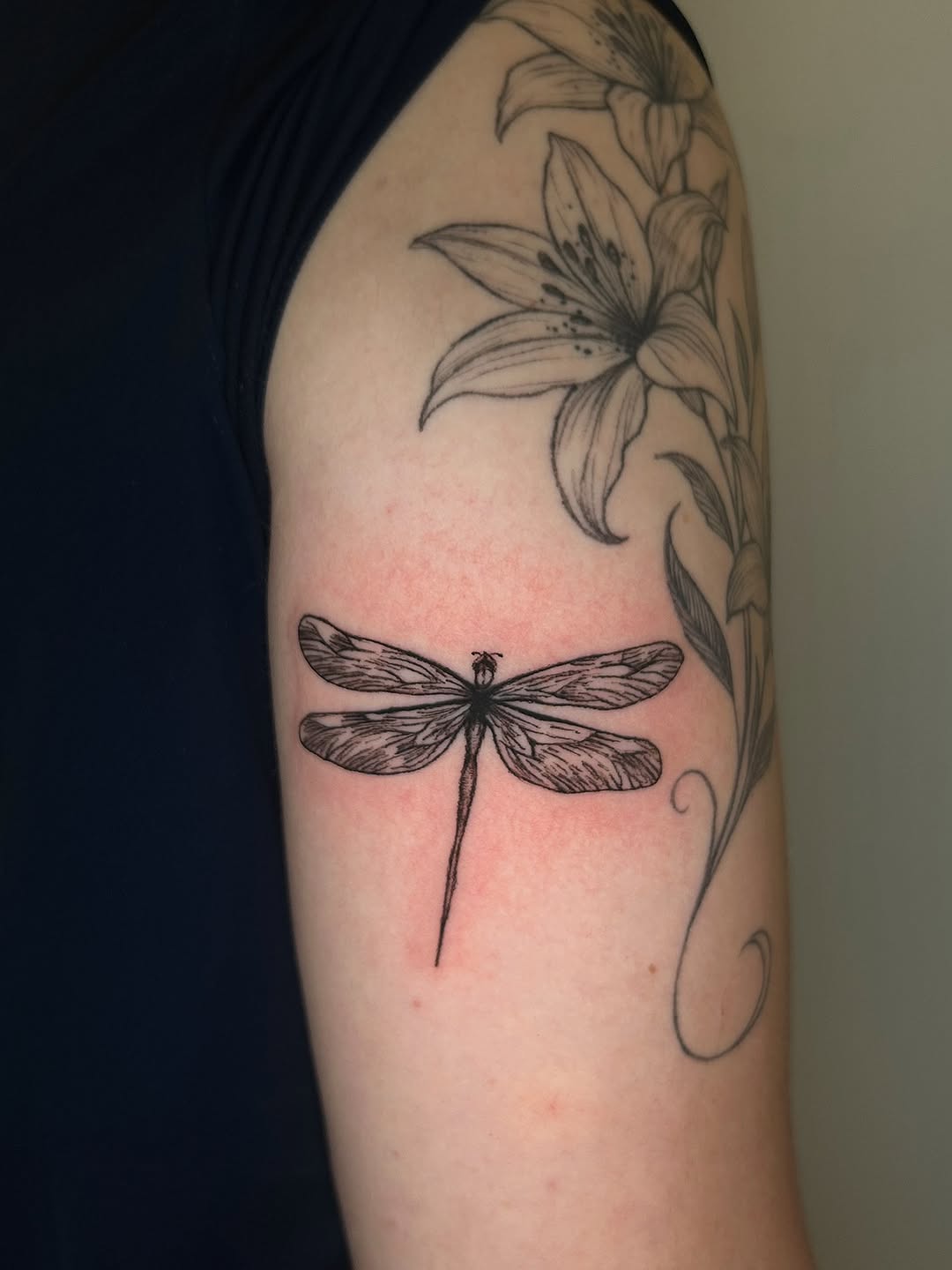 Tattoo by @fivi_lu — fine_line, illustrative