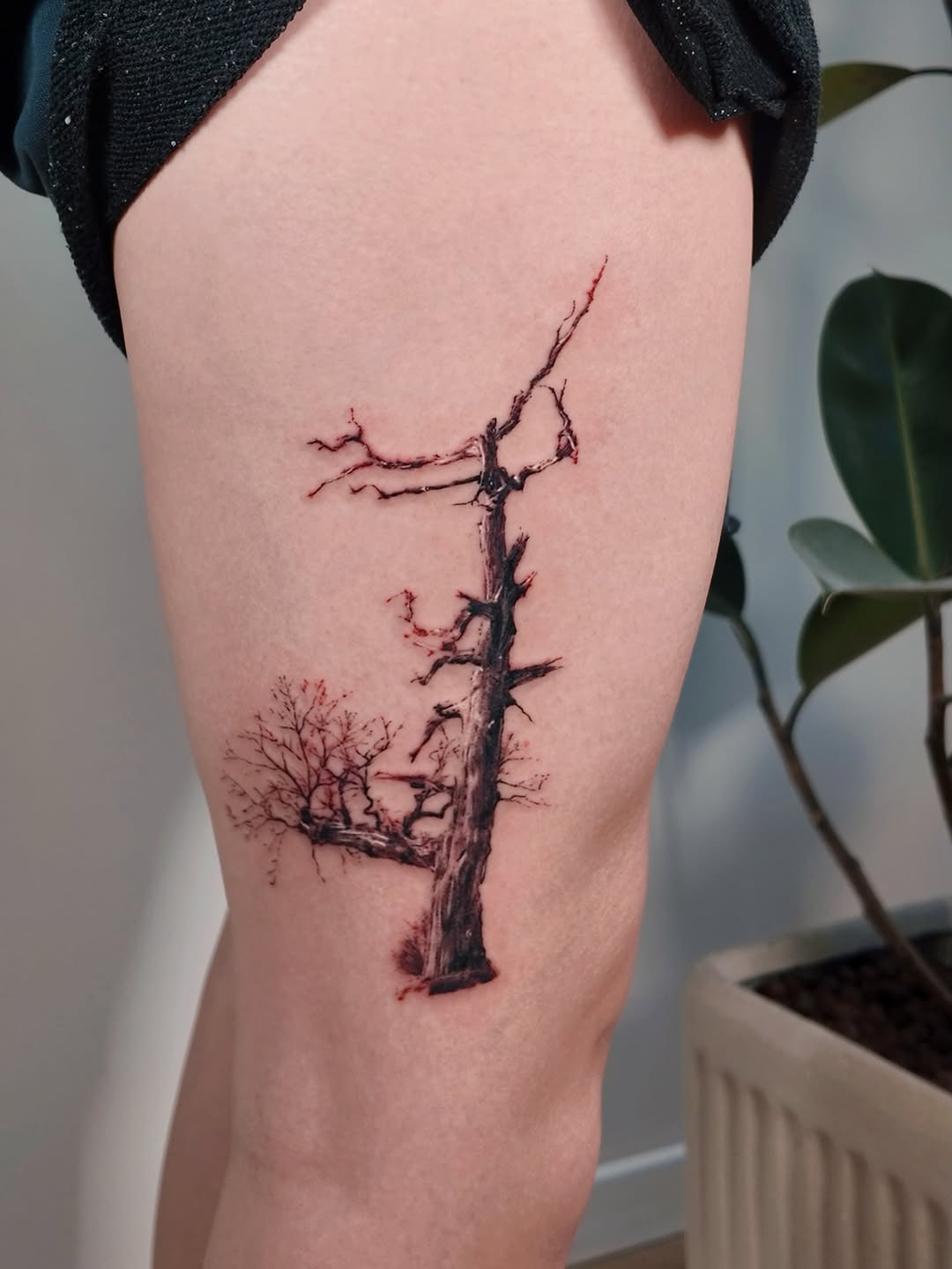 Tattoo by @junsinkmontreal โ realism, black_and_grey