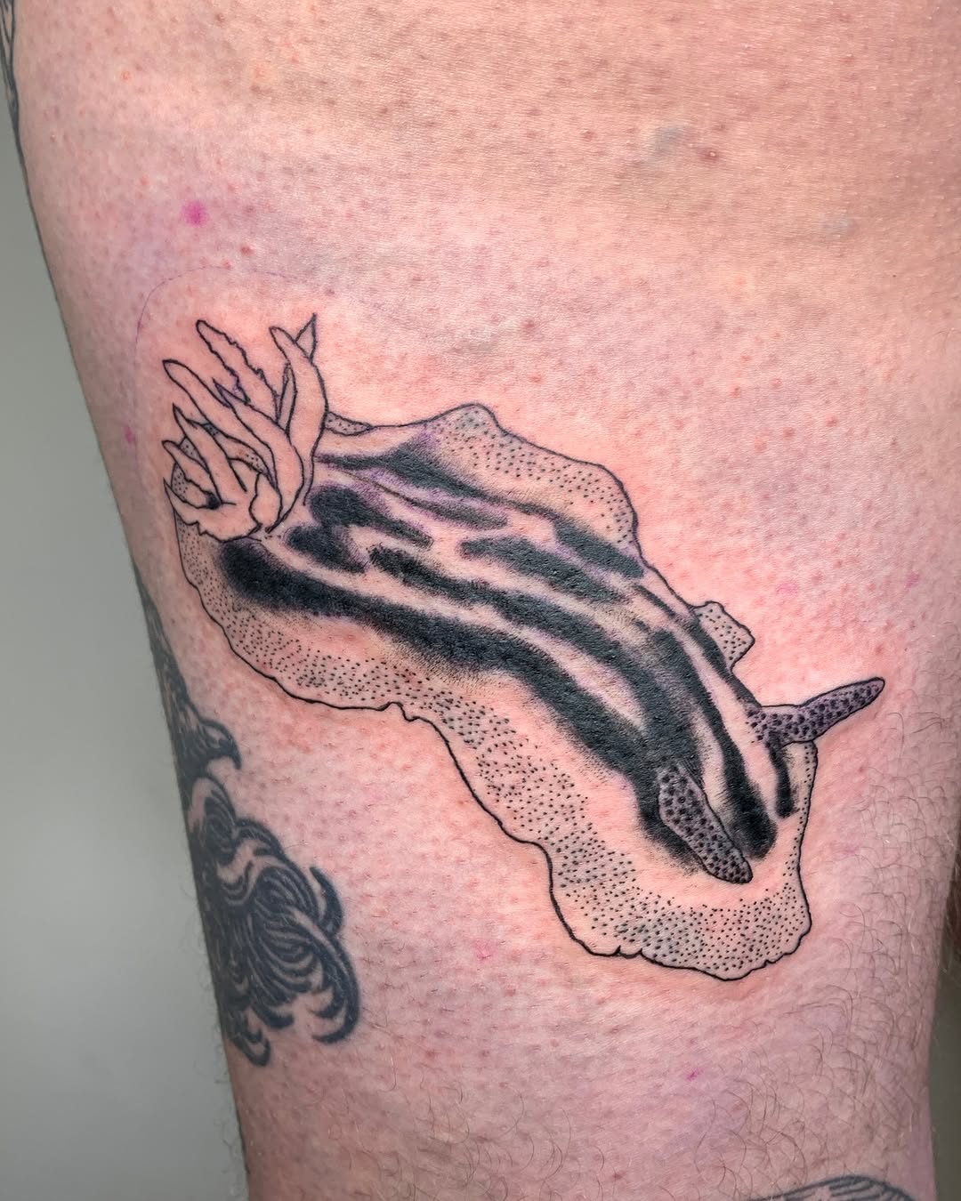 Tattoo by @lamhamilton β black_and_grey, dotwork