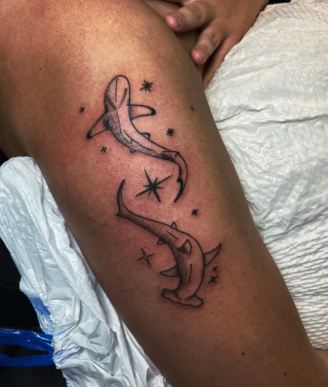 Tattoo by @tinyterrorink — fine_line, black_and_grey