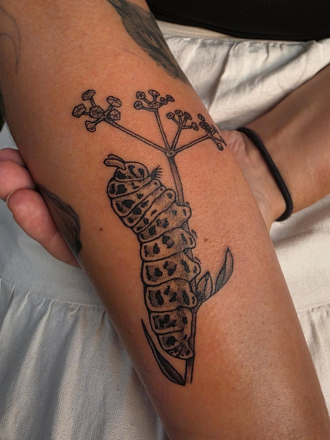 Tattoo by @lulus_tattoos_ β illustrative, dotwork