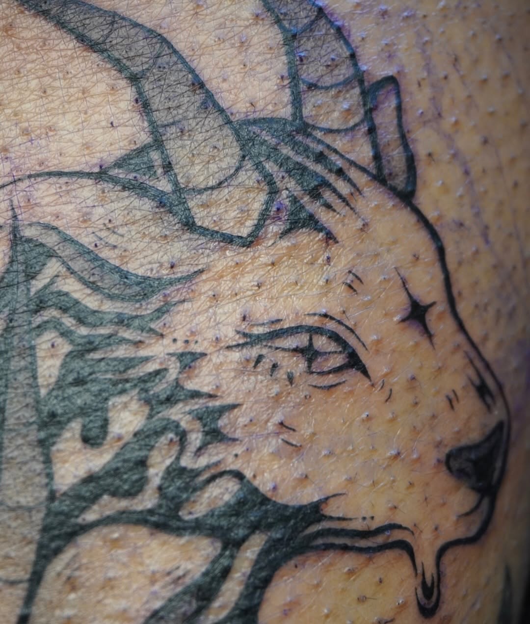 Tattoo by @scaredy.cat.tatts — black_and_grey, realism