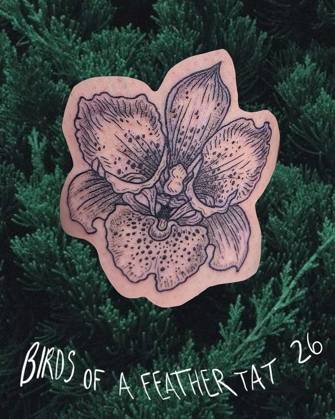 Tattoo by @birds.of.a.feather.tat — black_and_grey, realism