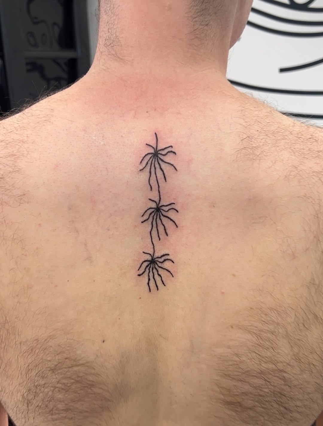 Tattoo by @lanta_ttoo — fine_line
