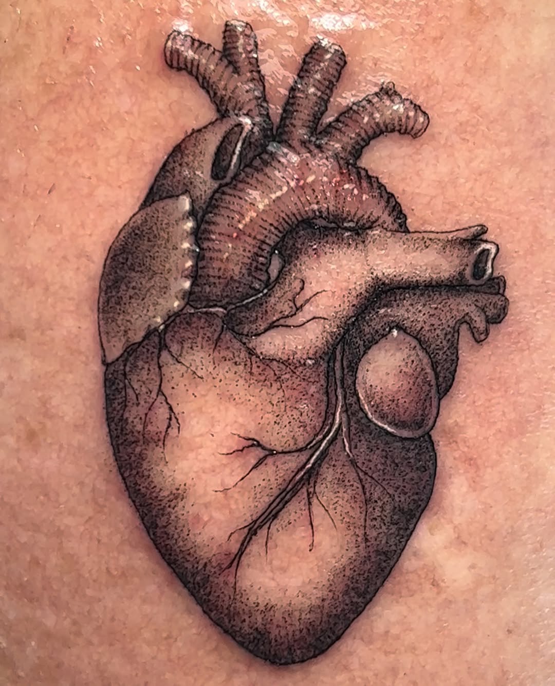 Tattoo by @connalcreates — realism, dotwork