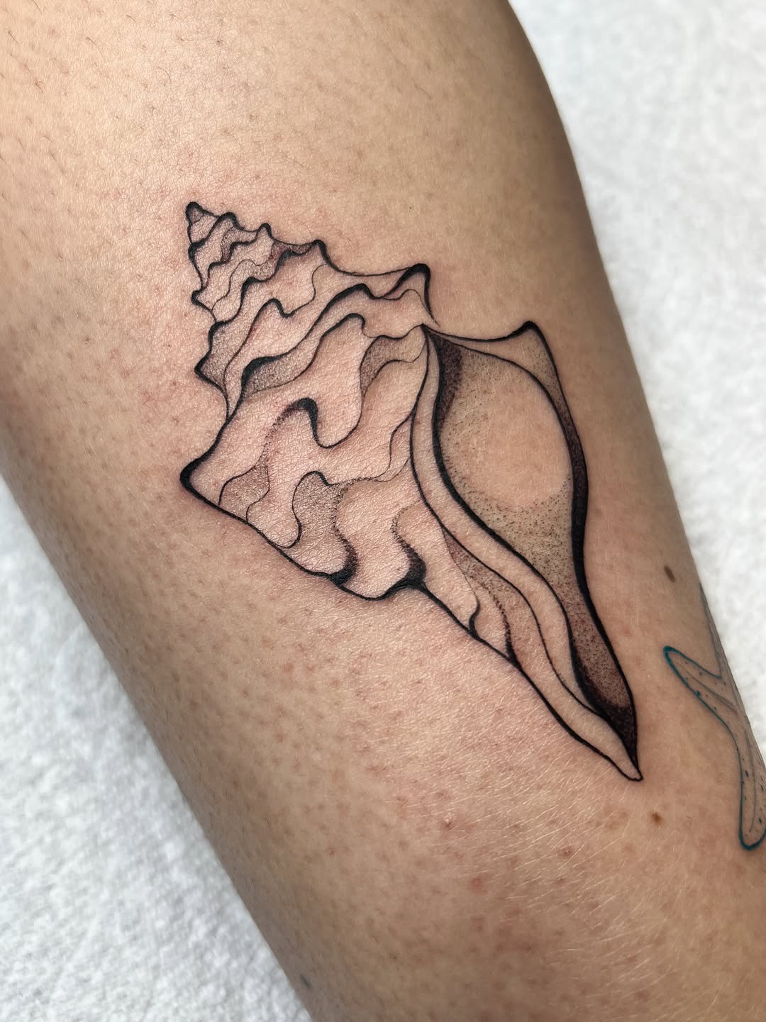 Tattoo by @sans.detour — black_and_grey, fine_line