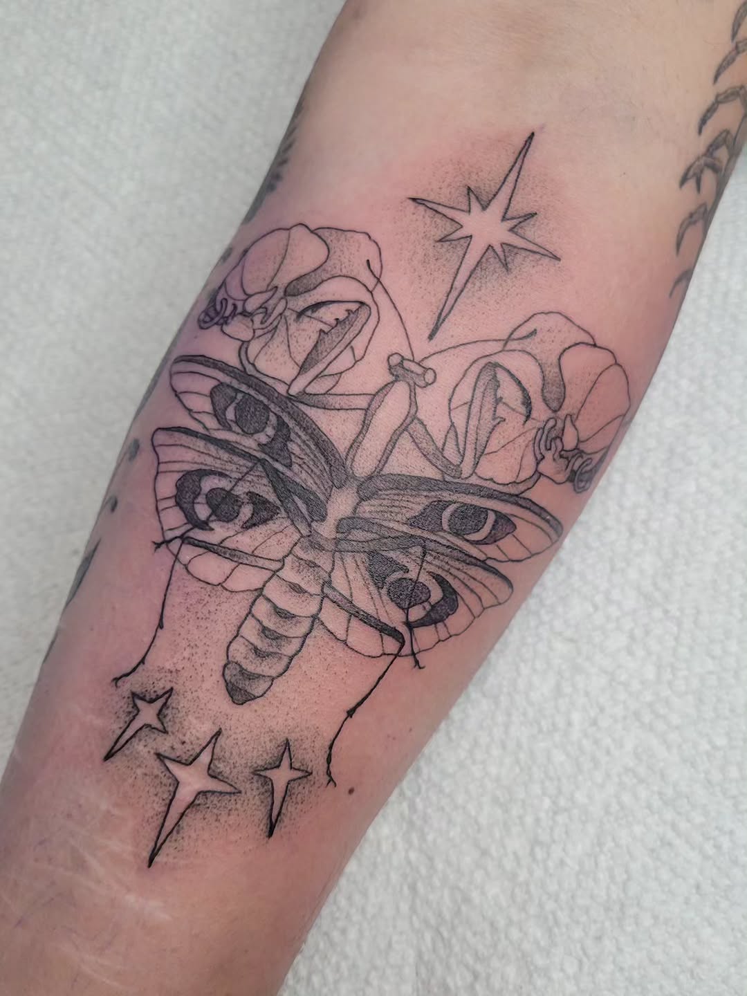 Tattoo by @melancholy.moth.tattoo — fine_line, dotwork
