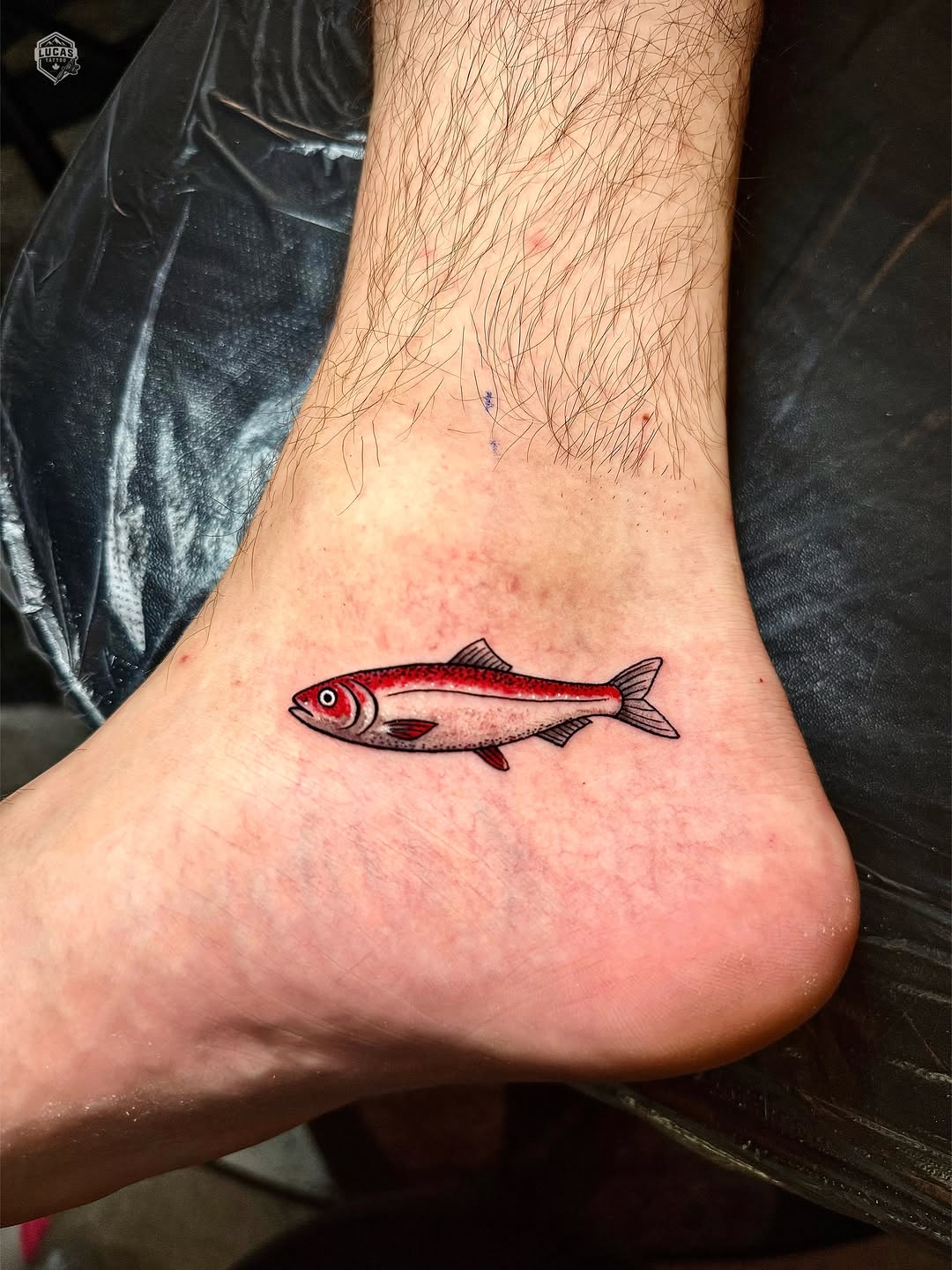 Tattoo by @lucastattoo.ca โ american_traditional