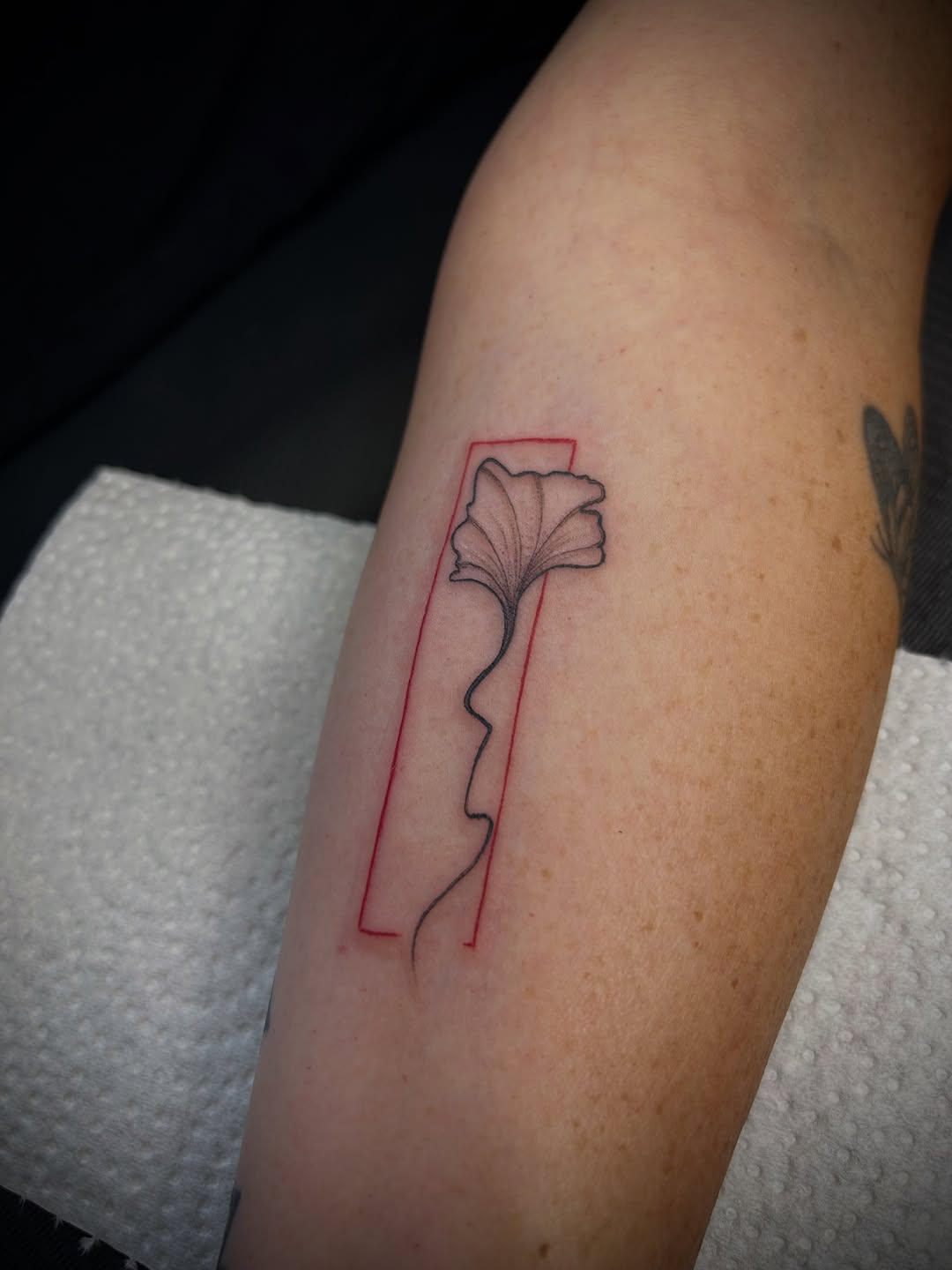 Tattoo by @douceliigne — fine_line, minimalist