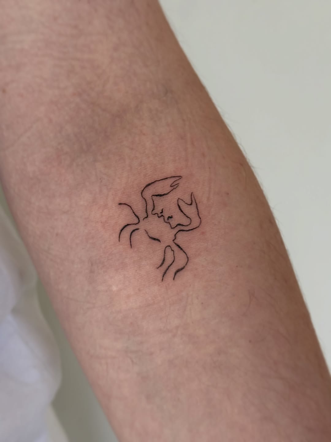 Tattoo by @tattoo.meg — fine_line, minimalist