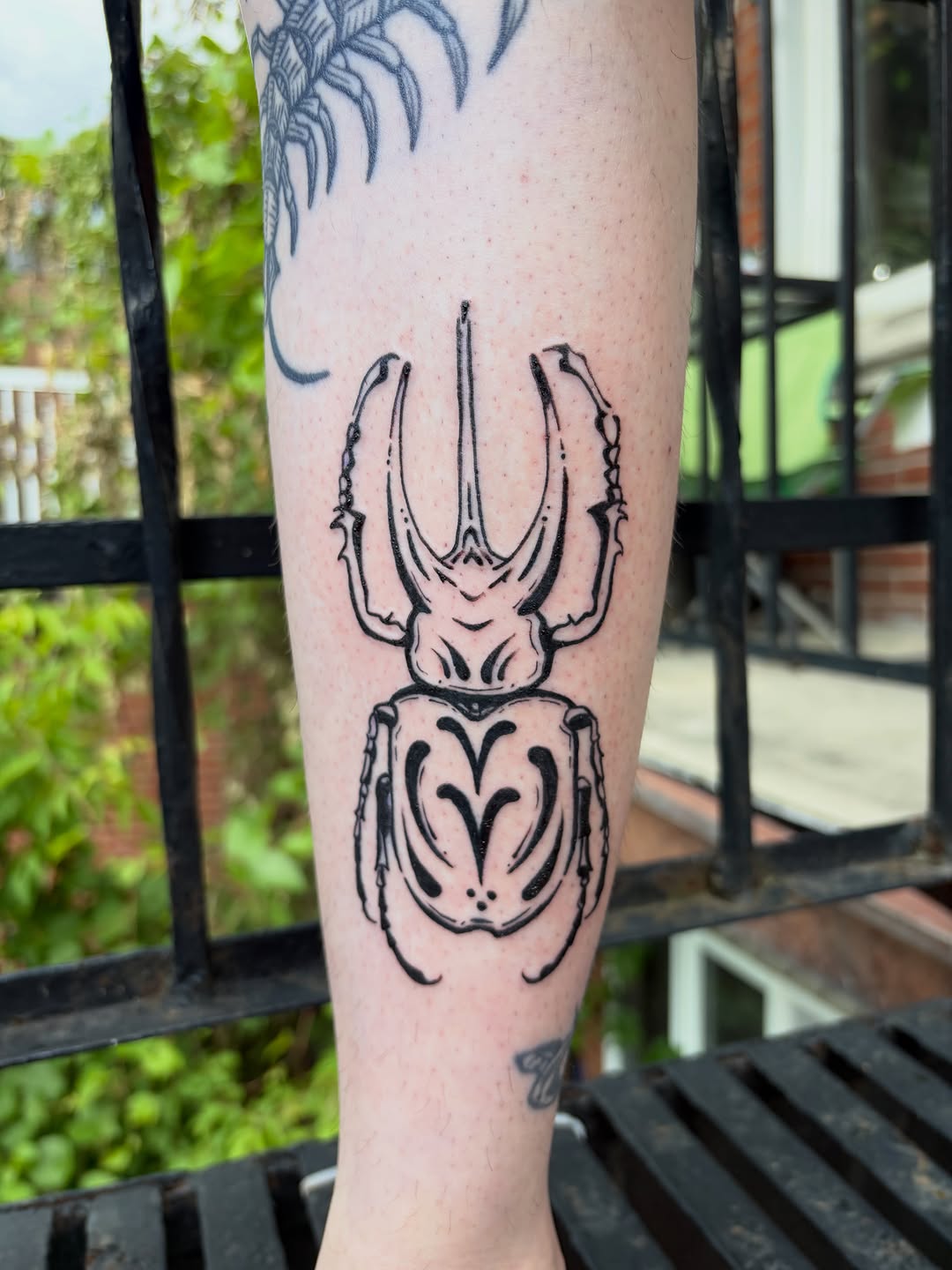 Tattoo by @mushypokes — blackwork