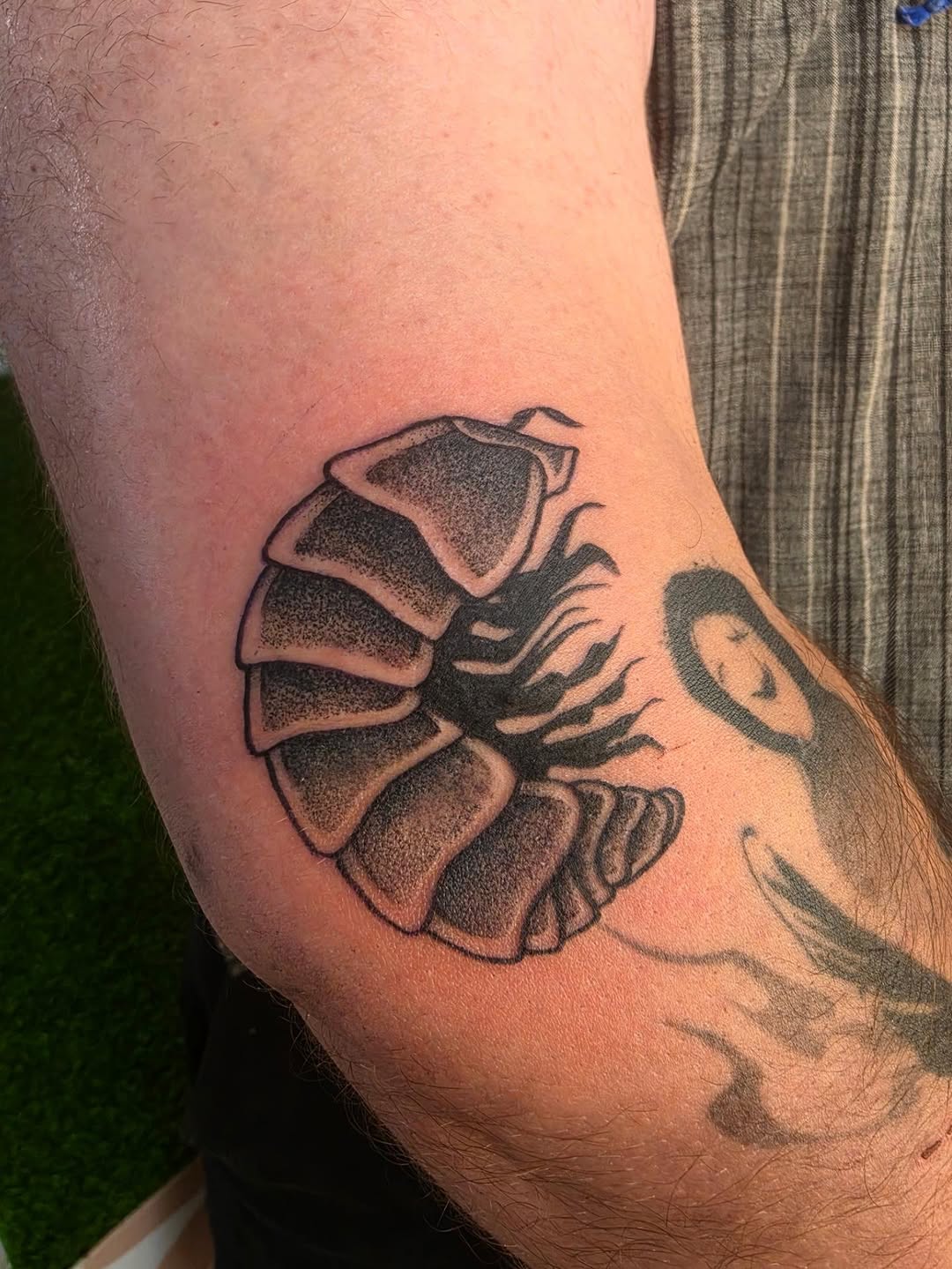 Tattoo by @lulus_tattoos_ β dotwork, black_and_grey