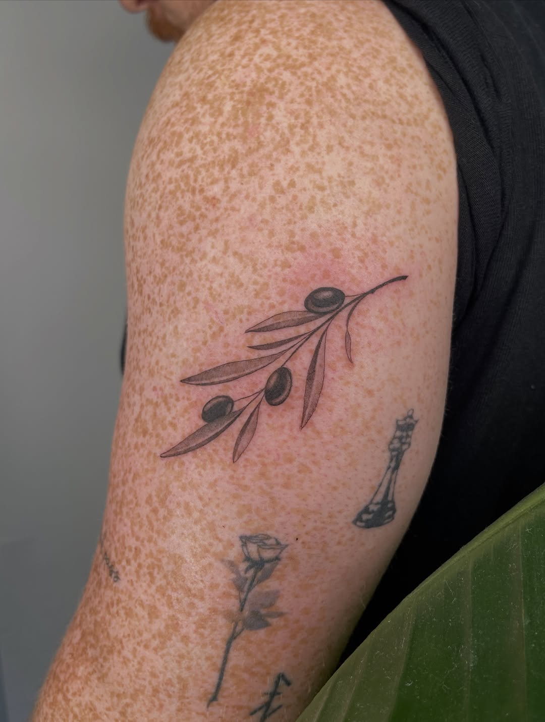 Tattoo by @nicol.ink_ — fine_line, black_and_grey