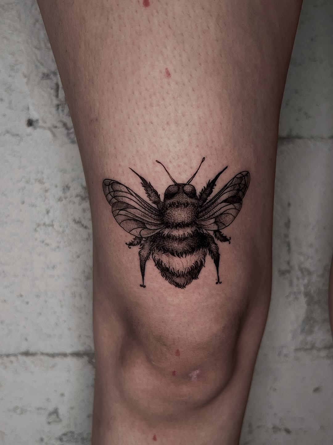 Tattoo by @la_diabhla — dotwork, black_and_grey