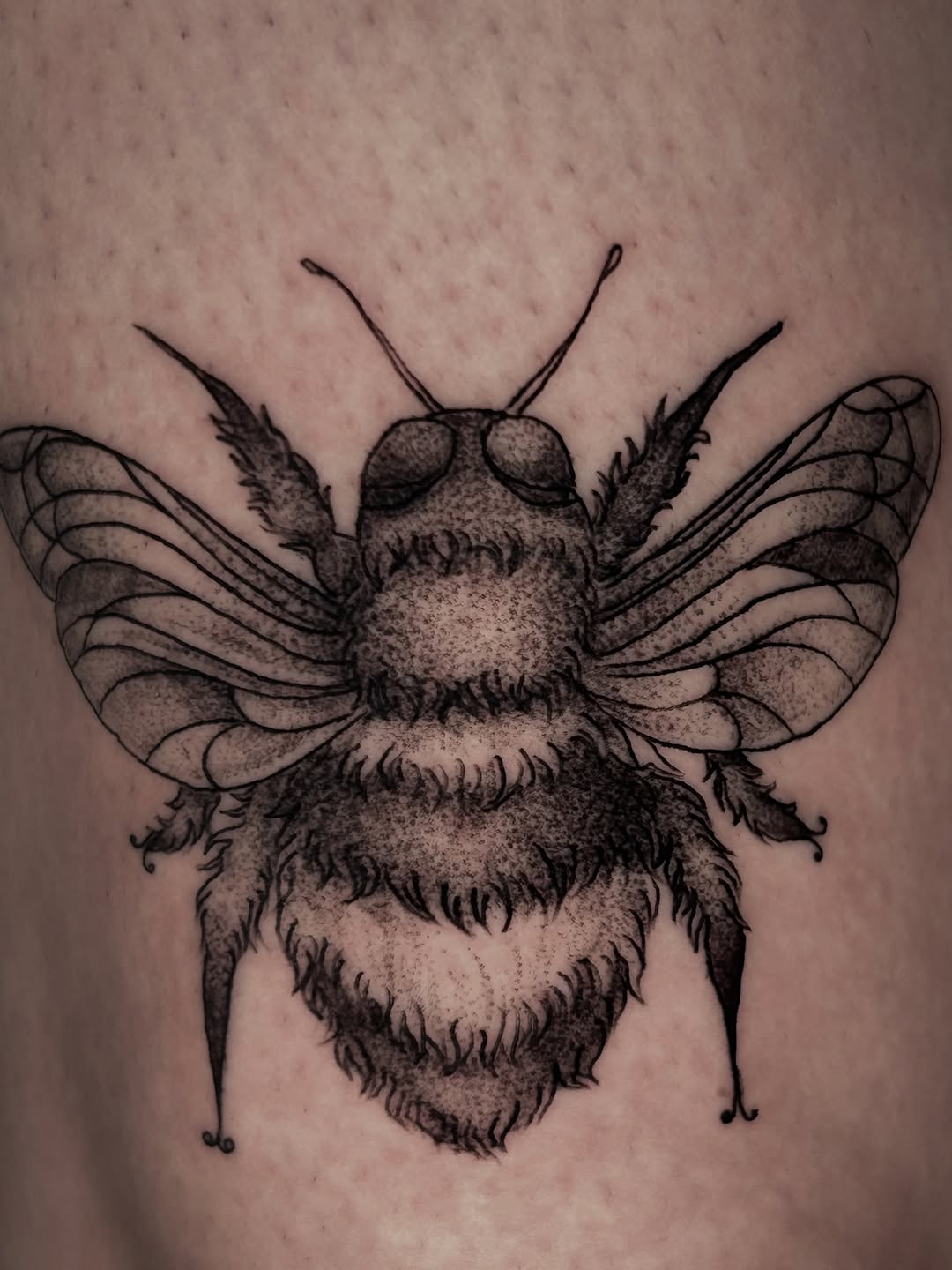 Tattoo by @la_diabhla — black_and_grey, realism