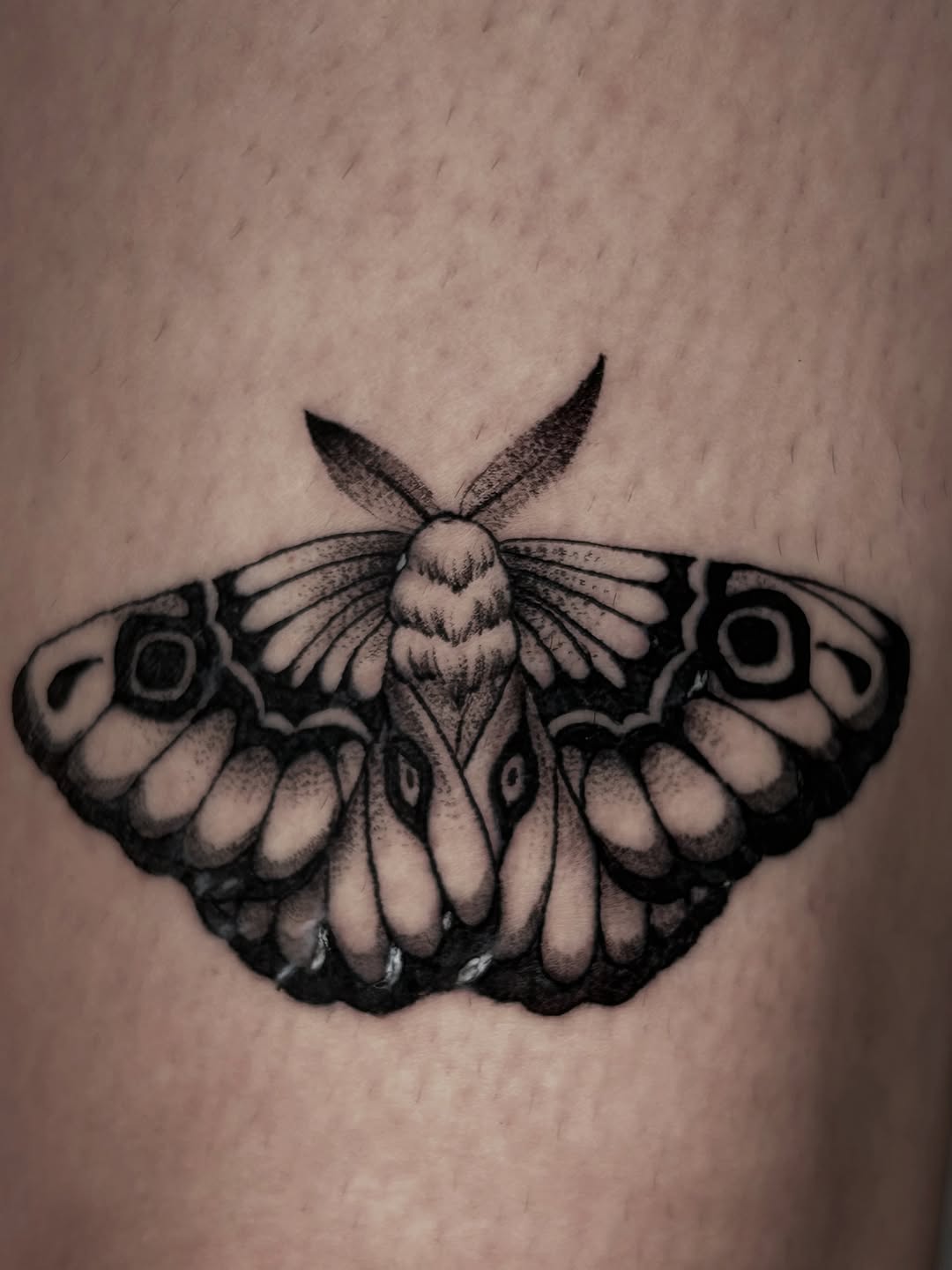 Tattoo by @la_diabhla — black_and_grey, realism