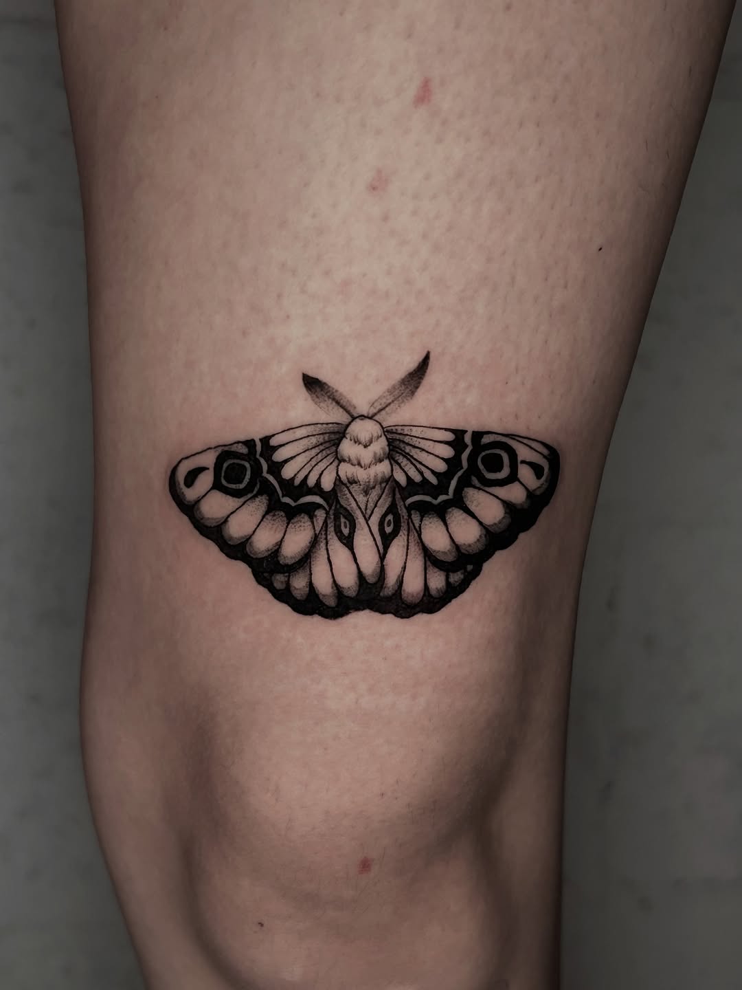 Tattoo by @la_diabhla — black_and_grey, fine_line