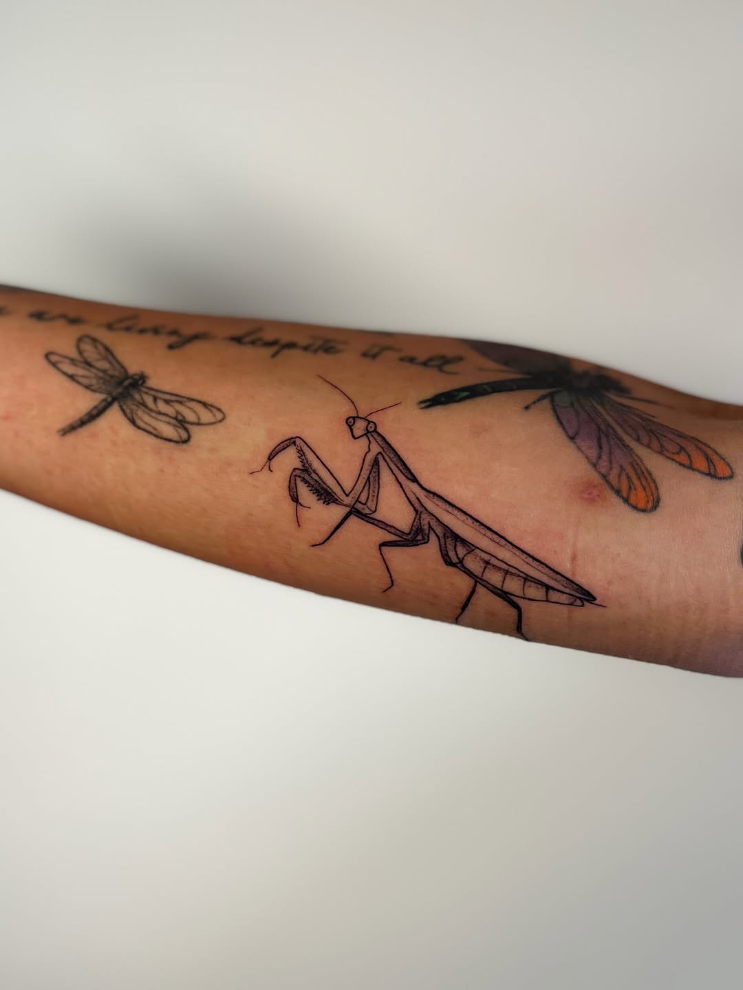 Tattoo by @seed.eternal — fine_line, illustrative