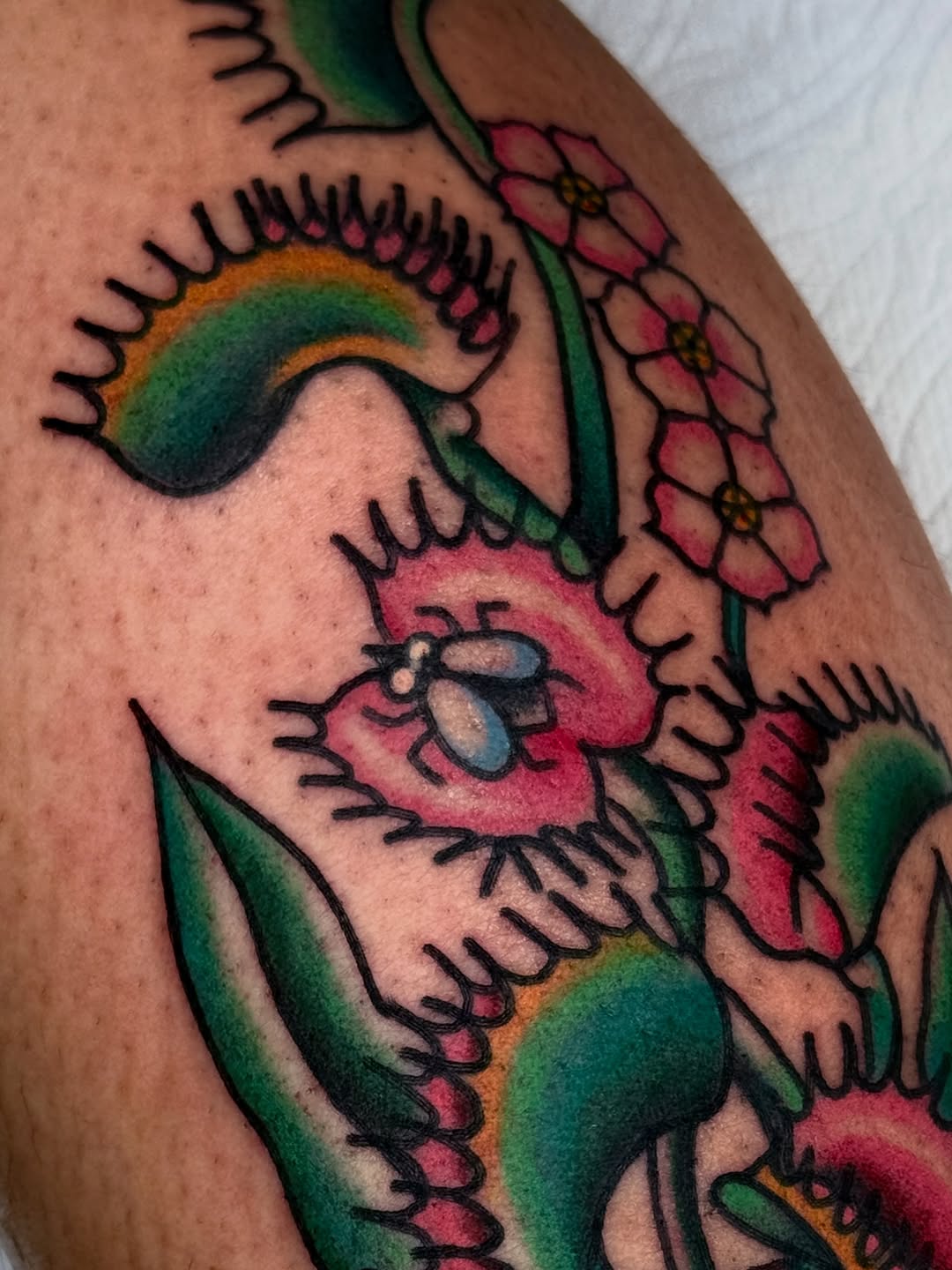 Tattoo by @sharon_skinart — american_traditional