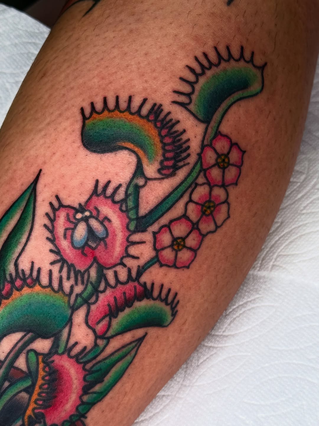 Tattoo by @sharon_skinart — american_traditional