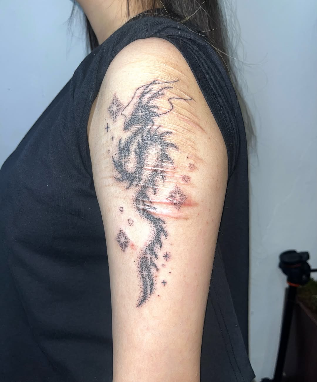 Tattoo by @bokchi_poke — dotwork, black_and_grey