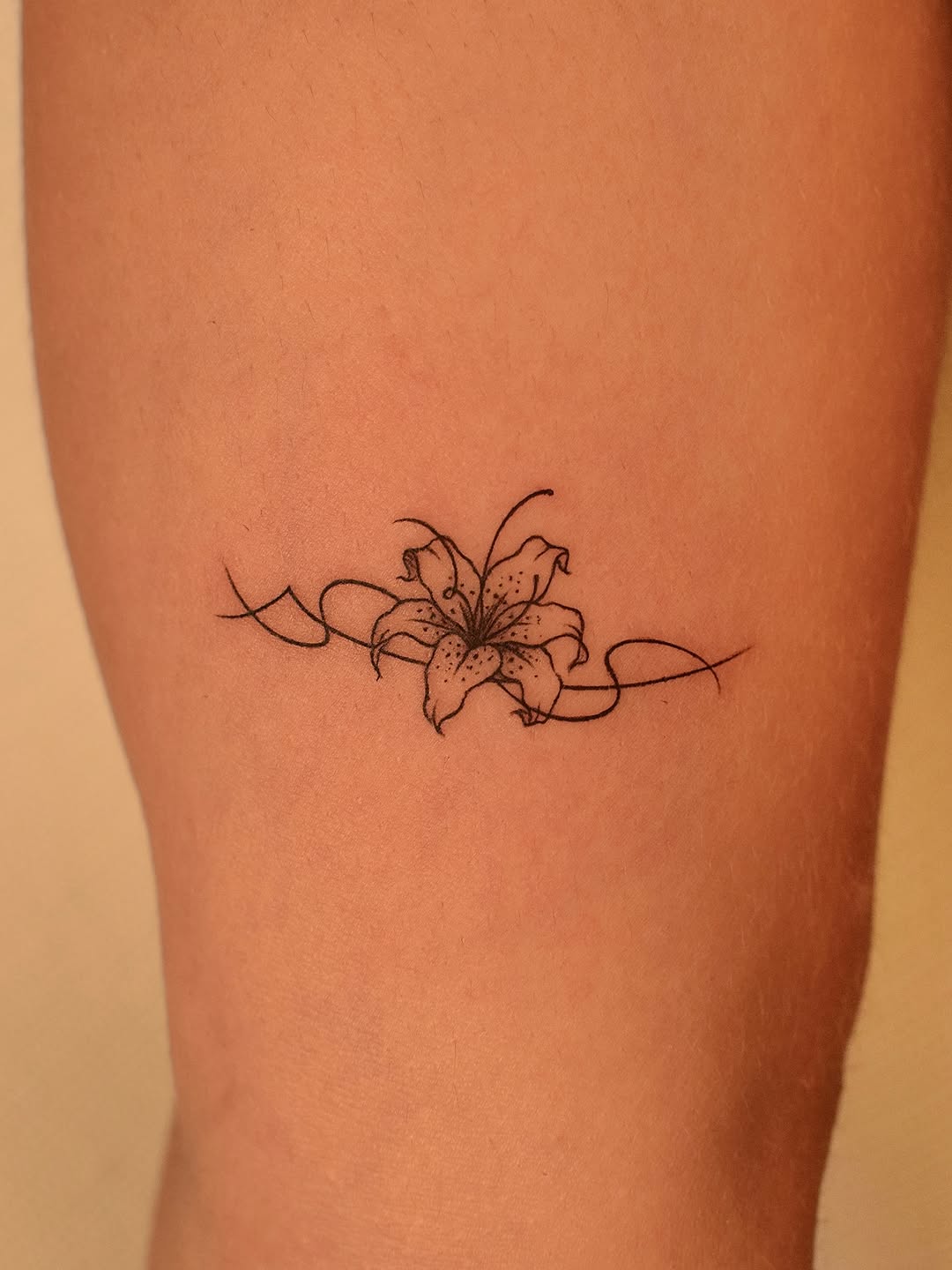 Tattoo by @tattooer_jina — fine_line, black_and_grey